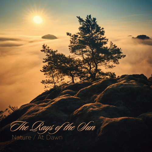 The Rays Of The Sun : Nature - At Dawn